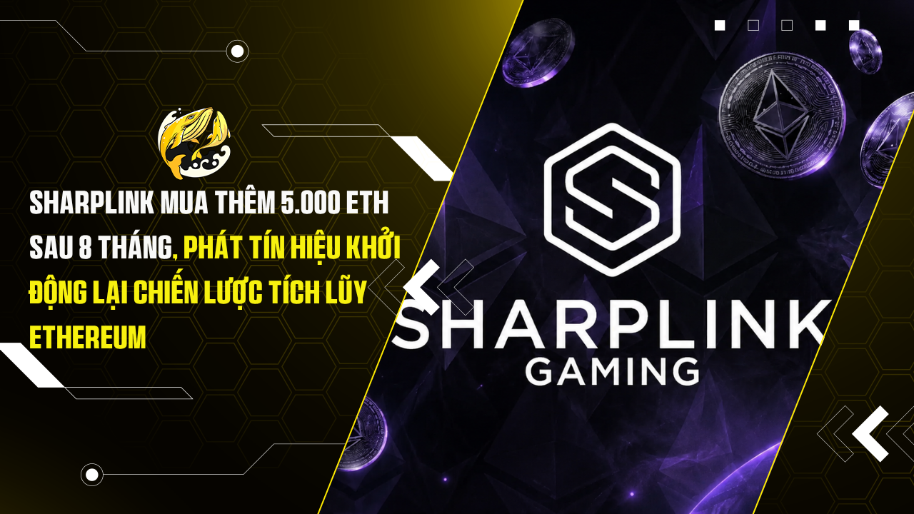 SharpLink Mua Thêm 5.000 ETH Sau 8 Tháng