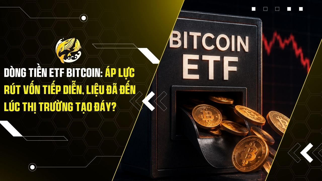 Dòng Tiền ETF Bitcoin: Áp Lực Rút Vốn Tiếp Diễn, Liệu Đã Đến Lúc Thị Trường Tạo Đáy?