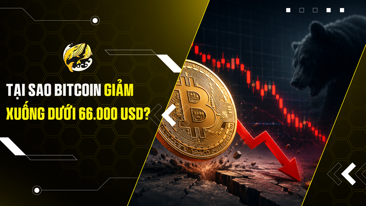 Tại sao Bitcoin giảm xuống dưới 66.000 USD?