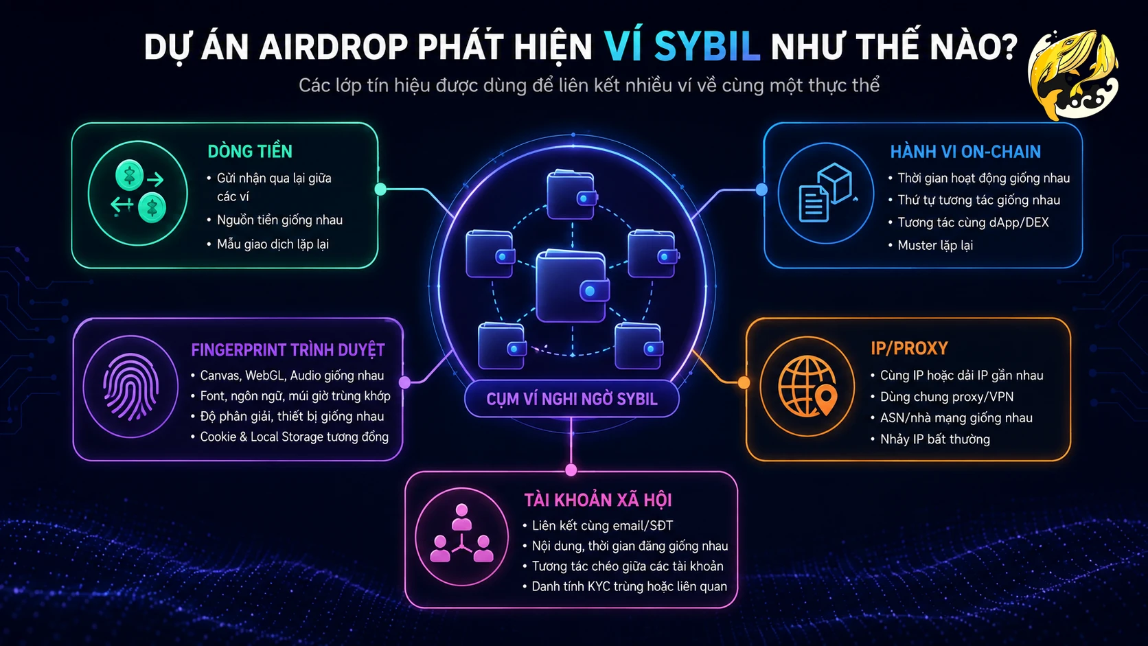 Infographic các tín hiệu khiến nhiều ví bị phát hiện Sybil khi săn airdrop