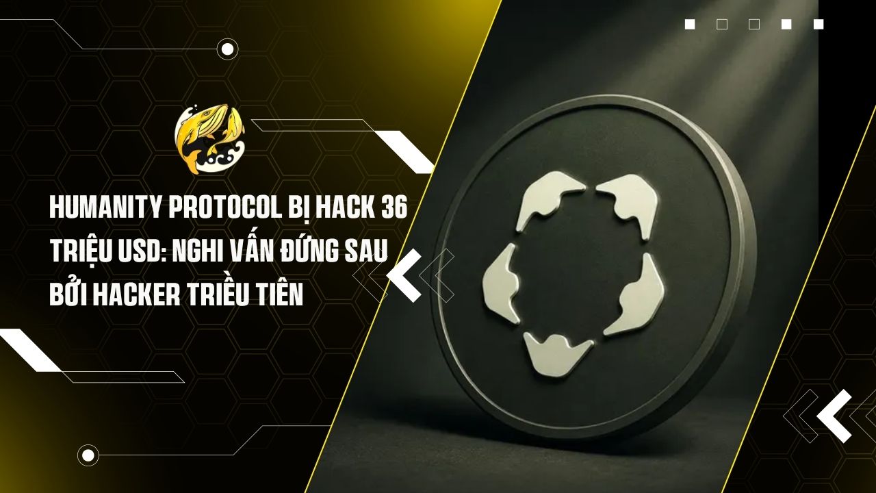 Humanity Protocol bị hack 36 triệu USD