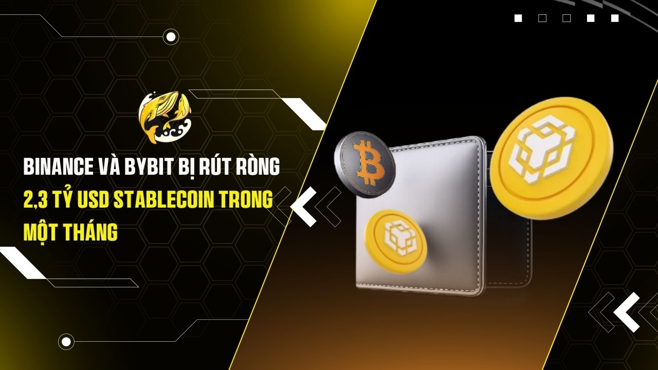 Binance và Bybit bị rút ròng 2,3 tỷ USD stablecoin trong một tháng