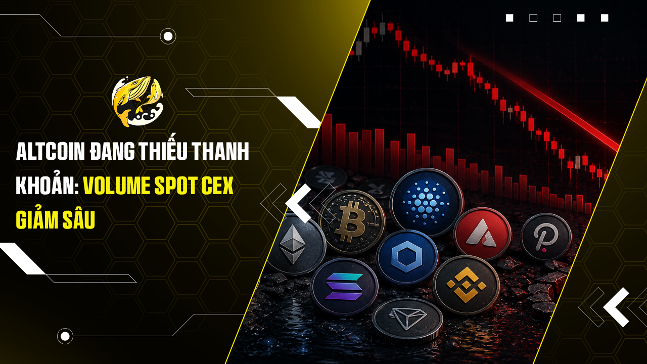 Altcoin đang thiếu thanh khoản: Volume spot CEX giảm sâu