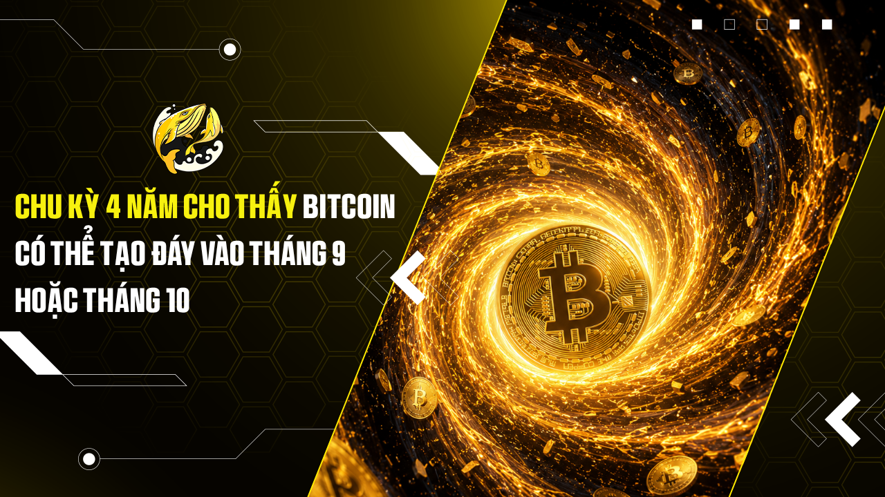 Chu kỳ 4 năm cho thấy Bitcoin có thể tạo đáy vào tháng 9 hoặc tháng 10