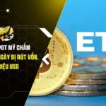 ETF Bitcoin Spot Mỹ Chấm Dứt Chuỗi 10 Ngày Bị Rút Vốn, Ghi Nhận Dòng Tiền Hơn 221 Triệu USD