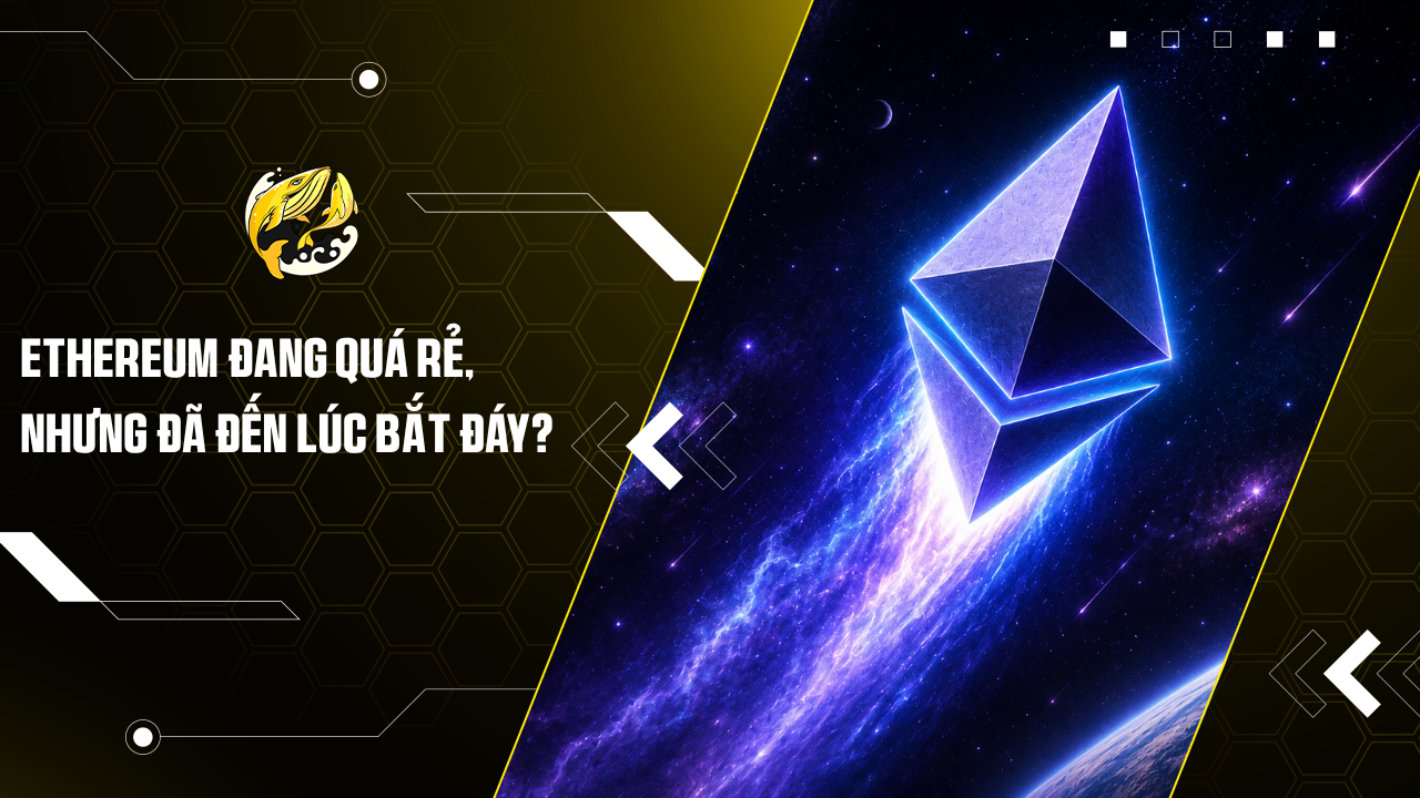 Ethereum đang quá rẻ, nhưng đã đến lúc bắt đáy?