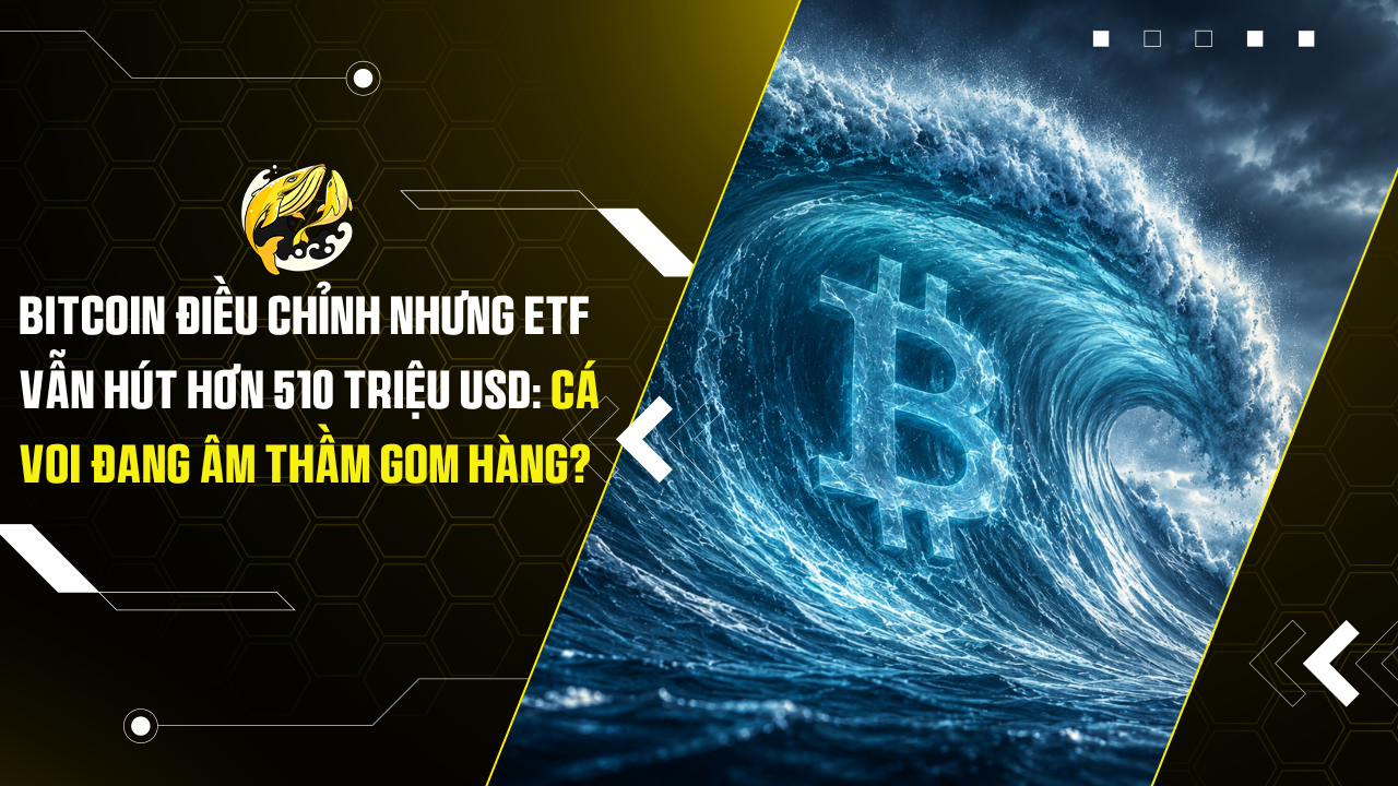 Bitcoin điều chỉnh nhưng ETF vẫn hút hơn 510 triệu USD: Cá voi đang âm thầm gom hàng?