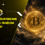 Bitwise: Đáy của Bitcoin đang ngày càng cao, tín hiệu cho một chu kỳ mới?