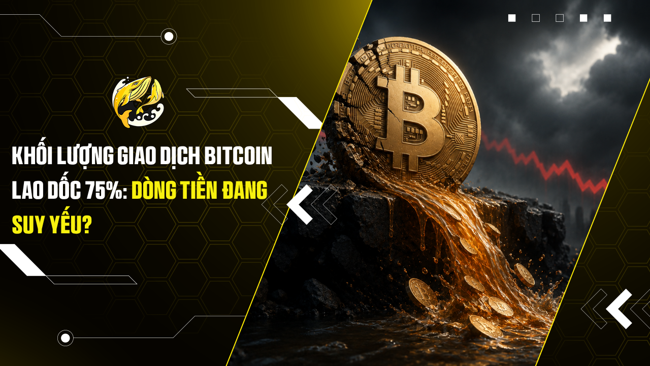 Khối lượng giao dịch Bitcoin lao dốc 75%: Dòng tiền đang suy yếu?