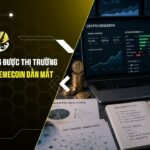Loại Token Đang Được Thị Trường Crypto Ưu Ái: Memecoin Dần Mất Sức Hút?
