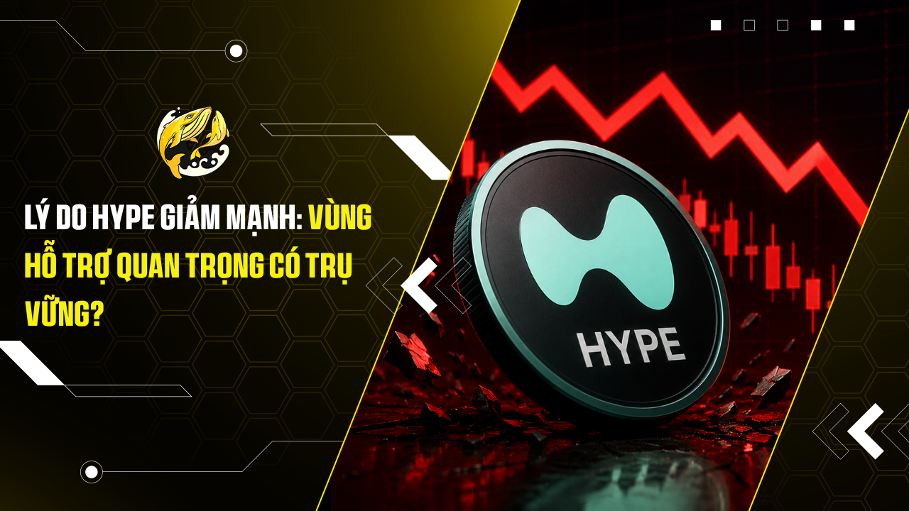 Lý do Hype giảm mạnh: Vùng hỗ trợ quan trọng có trụ vững?