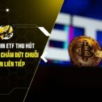 Các Quỹ Bitcoin ETF Thu Hút 197 Triệu USD, Chấm Dứt Chuỗi 8 Tuần Rút Vốn Liên Tiếp