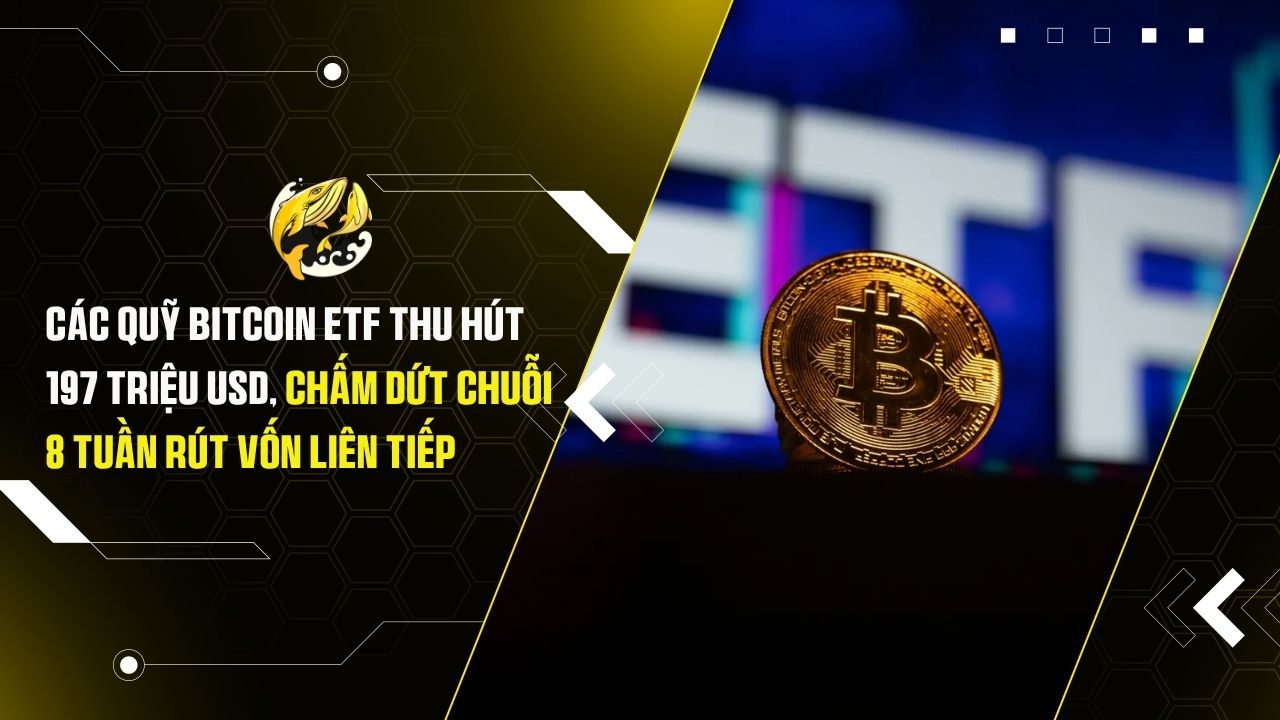 Các Quỹ Bitcoin ETF Thu Hút 197 Triệu USD, Chấm Dứt Chuỗi 8 Tuần Rút Vốn Liên Tiếp