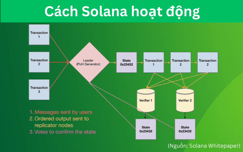 solana sol coin la gi co nen dau tu vao solana coin khong 1png 672d9a69753e8