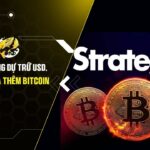 Strategy tăng dự trữ USD, tạm dừng mua thêm Bitcoin