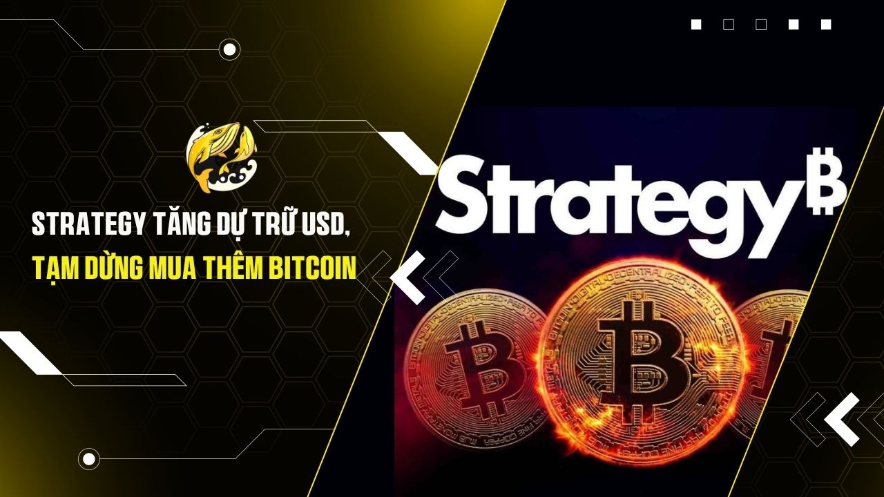 Strategy tăng dự trữ USD, tạm dừng mua thêm Bitcoin