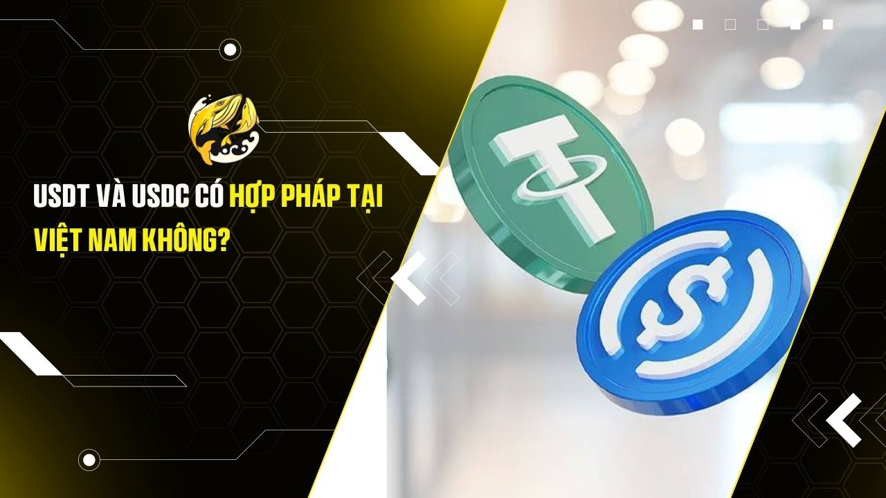USDT, USDC Có Hợp Pháp Tại Việt Nam Không?