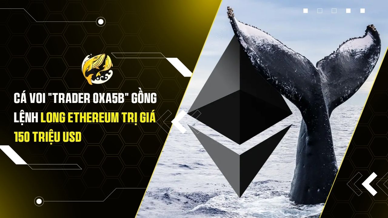 Bí Ẩn Danh Tính Cá Voi "Trader 0xa5B" Gồng Lệnh Long Ethereum Trị Giá 150 Triệu USD
