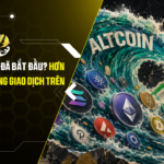 Altcoin season đã bắt đầu Hơn 55% altcoin đang giao dịch trên đường MA200