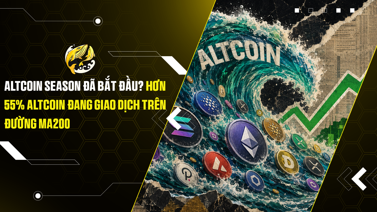 Altcoin season đã bắt đầu Hơn 55% altcoin đang giao dịch trên đường MA200