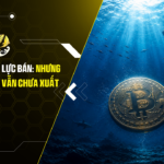 Bitcoin cạn dần lực bán Nhưng tín hiệu tạo đáy vẫn chưa xuất hiện (1)