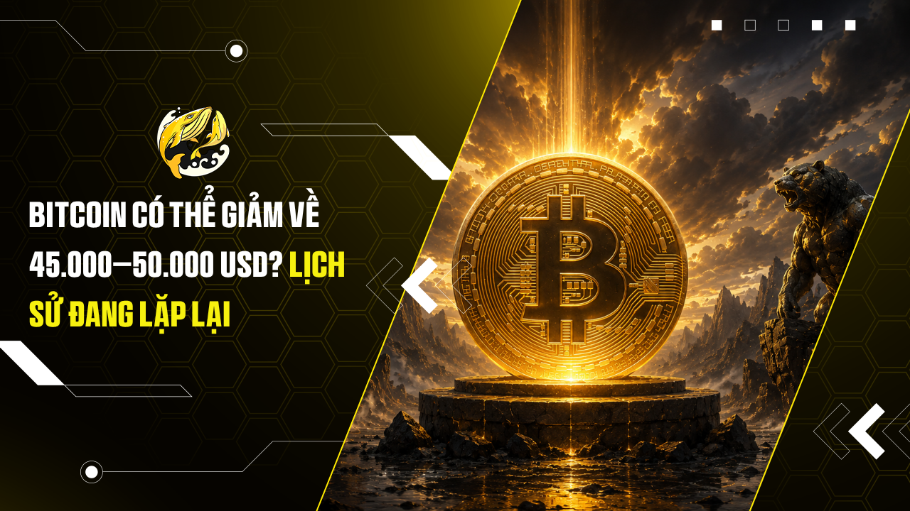 Bitcoin có thể giảm về 45.000–50.000 USD? Lịch sử đang lặp lại