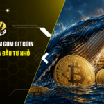 Cá voi âm thầm gom Bitcoin trong lúc nhà đầu tư nhỏ lẻ lại bán ra