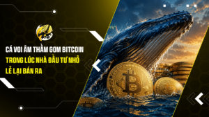 Cá voi âm thầm gom Bitcoin trong lúc nhà đầu tư nhỏ lẻ lại bán ra