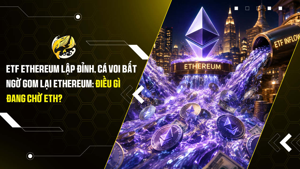 ETF Ethereum lập đỉnh, cá voi bất ngờ gom lại Ethereum: Điều gì đang chờ ETH?