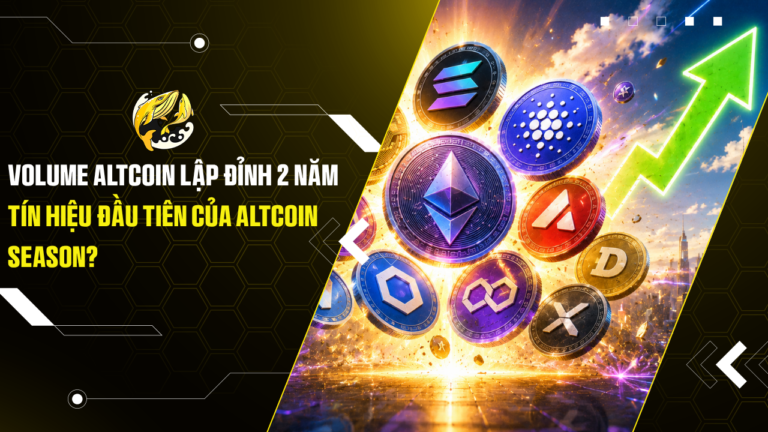 Volume altcoin lập đỉnh 2 năm Tín hiệu đầu tiên của Altcoin season