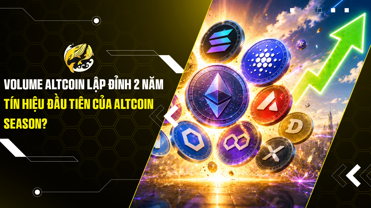 Volume altcoin lập đỉnh 2 năm Tín hiệu đầu tiên của Altcoin season