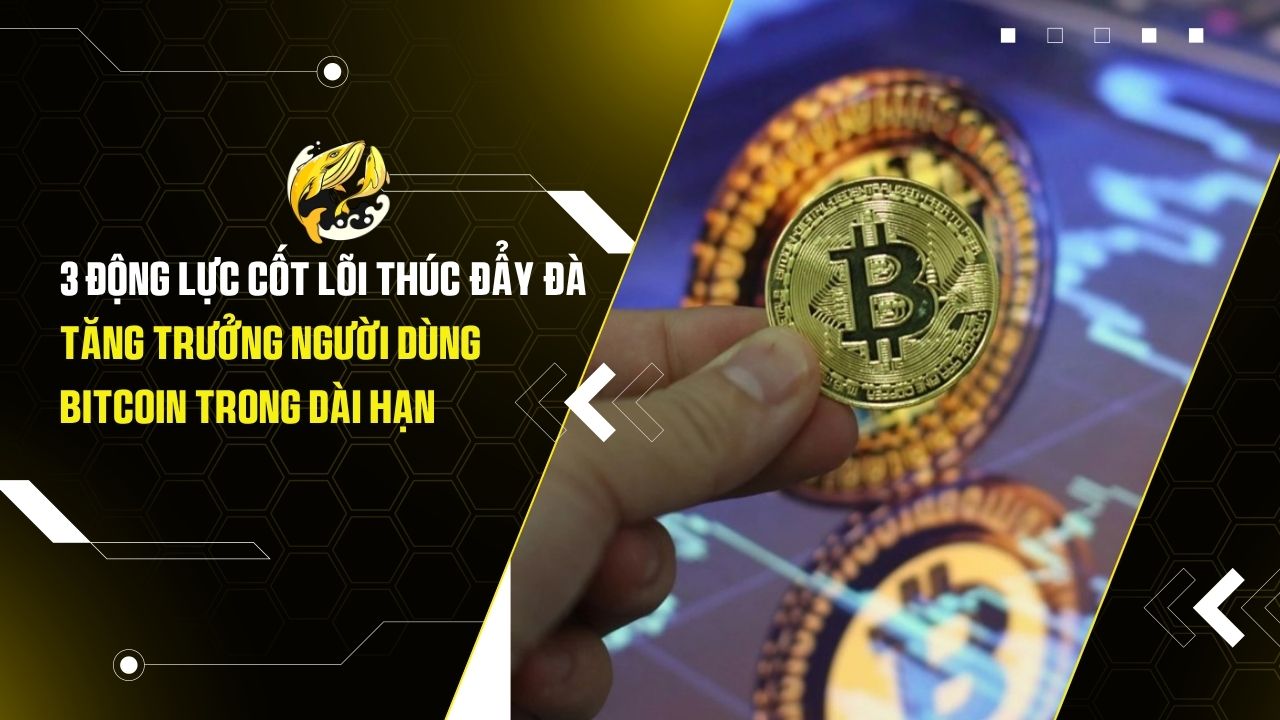 3 Động lực cốt lõi thúc đẩy đà tăng trưởng người dùng Bitcoin trong dài hạn