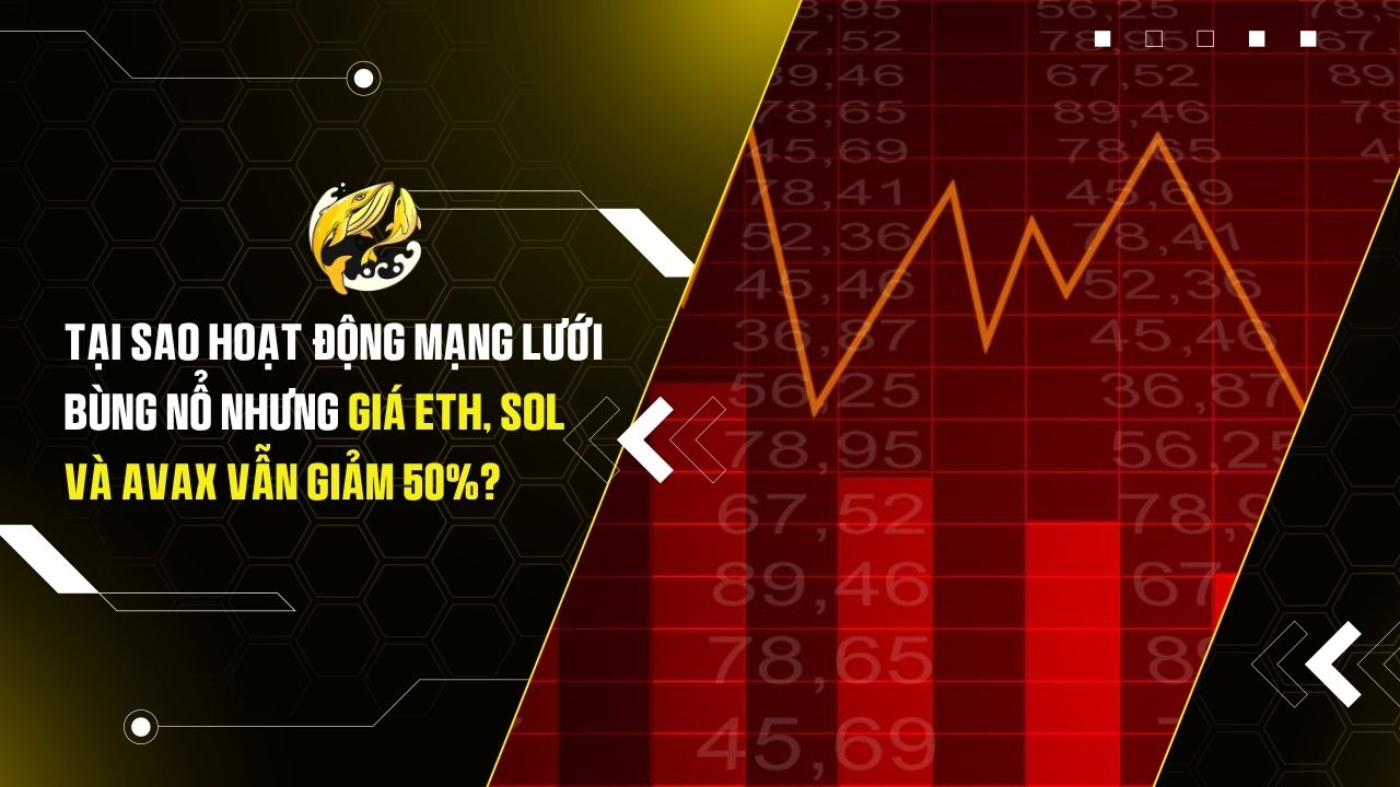 Tại sao hoạt động mạng lưới bùng nổ nhưng giá ETH, SOL và AVAX vẫn giảm 50%?
