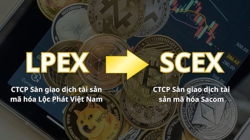 lpex