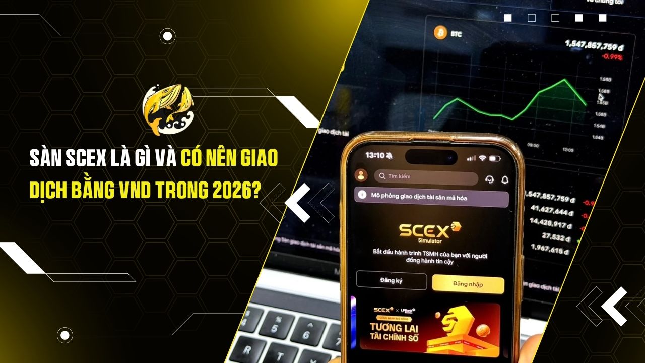 Sàn SCEX Là Gì Và Có Nên Giao Dịch Bằng VND Trong 2026?