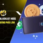 Ví Crypto Bị Blacklist Hoặc USDT Bị Đóng Băng Phải Làm Gì?