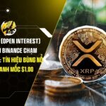 Hợp đồng mở (Open Interest) của XRP trên Binance chạm đỉnh 2 tháng: Tín hiệu bùng nổ biến động quanh mốc $1,00