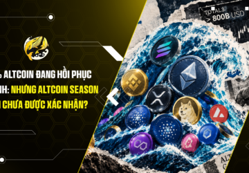 70% Altcoin đang hồi phục mạnh Nhưng Altcoin season vẫn chưa được xác nhận