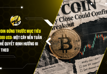 Bitcoin đứng trước mục tiêu 100.000 USD Một cây nến tuần có thể quyết định hướng đi tiếp theo