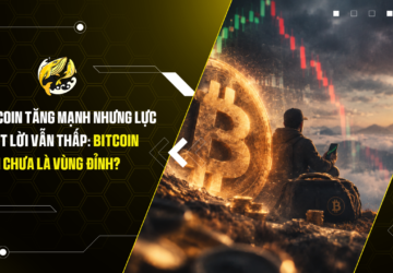 Bitcoin tăng mạnh nhưng lực chốt lời vẫn thấp Bitcoin vẫn chưa là vùng đỉnh (1)