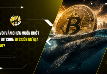 Cá voi vẫn chưa muốn chốt lời Bitcoin BTC còn dư địa tăng
