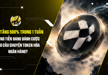 QNT tăng 500% trong 1 tuần Dòng tiền đang đánh cược vào câu chuyện token hóa ngân hàng
