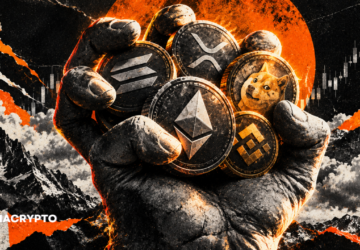 Altcoin đang bắt đầu hụt hơi Rủi ro lớn nhất nằm ở đâu